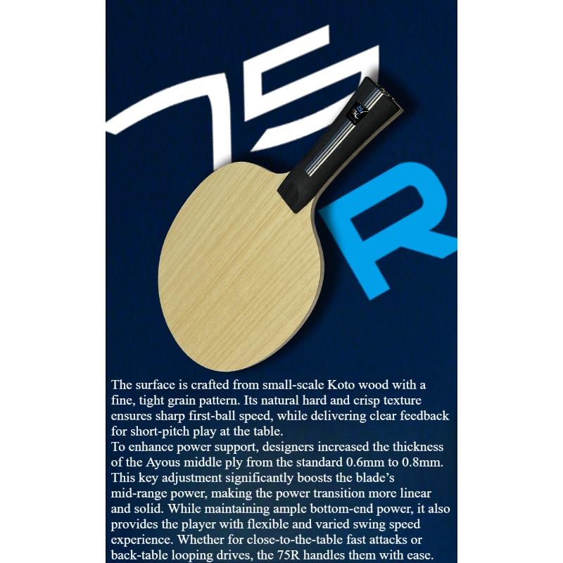 SANWEI 75R 5+2 Outer H-GLC Des – Table Tennis Blade recenzja i cena